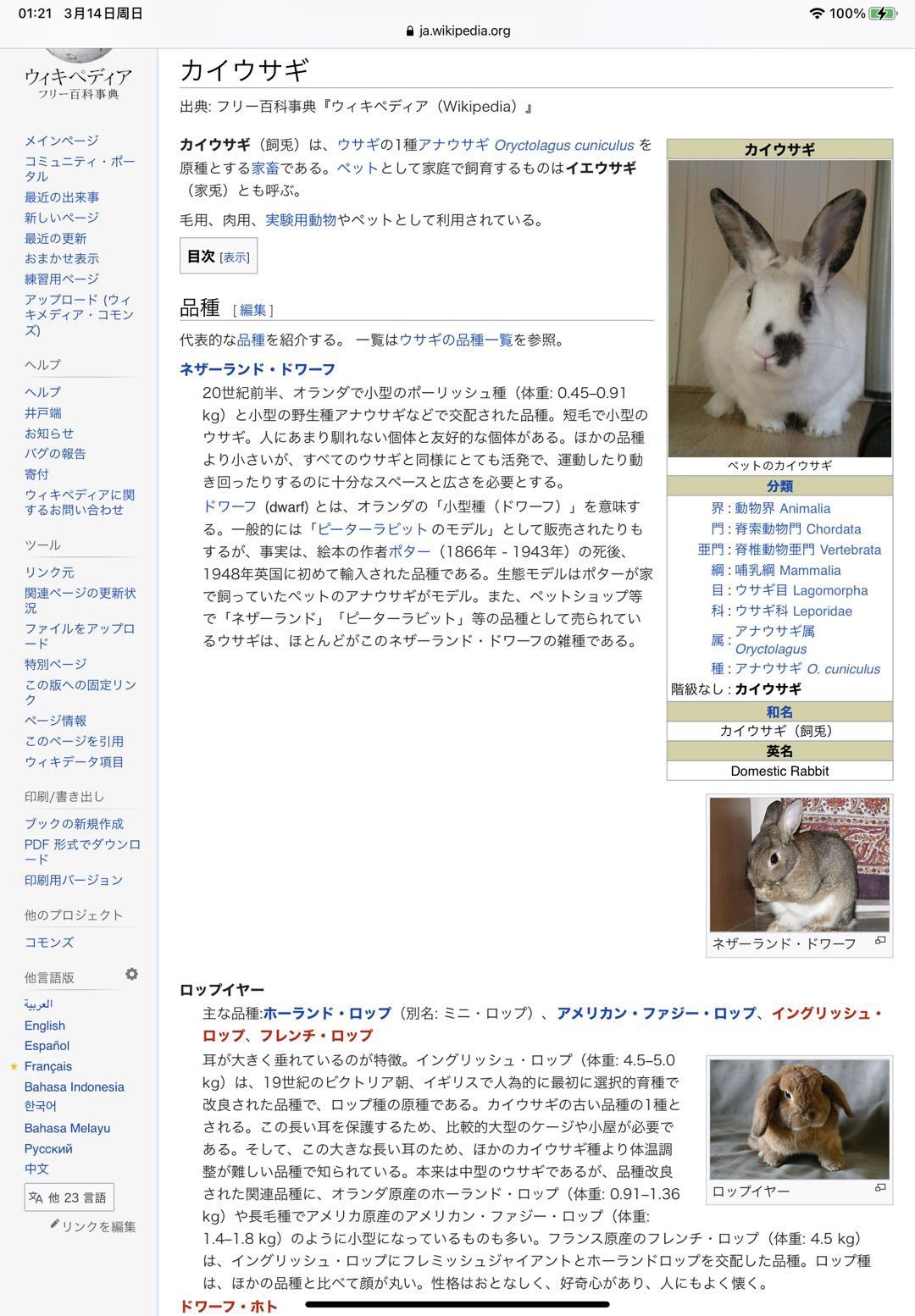 白鯨新聞 Jp Arknightsstaff アークナイツ 各オペレーターのモチーフ エイプリル 毛色がピンクのウサギ E2 は実在しないため モチーフの考察は難しい 環境光の影響を無視すると モチーフはウサギの一種であるアナウサギを家畜化したカイウサギで