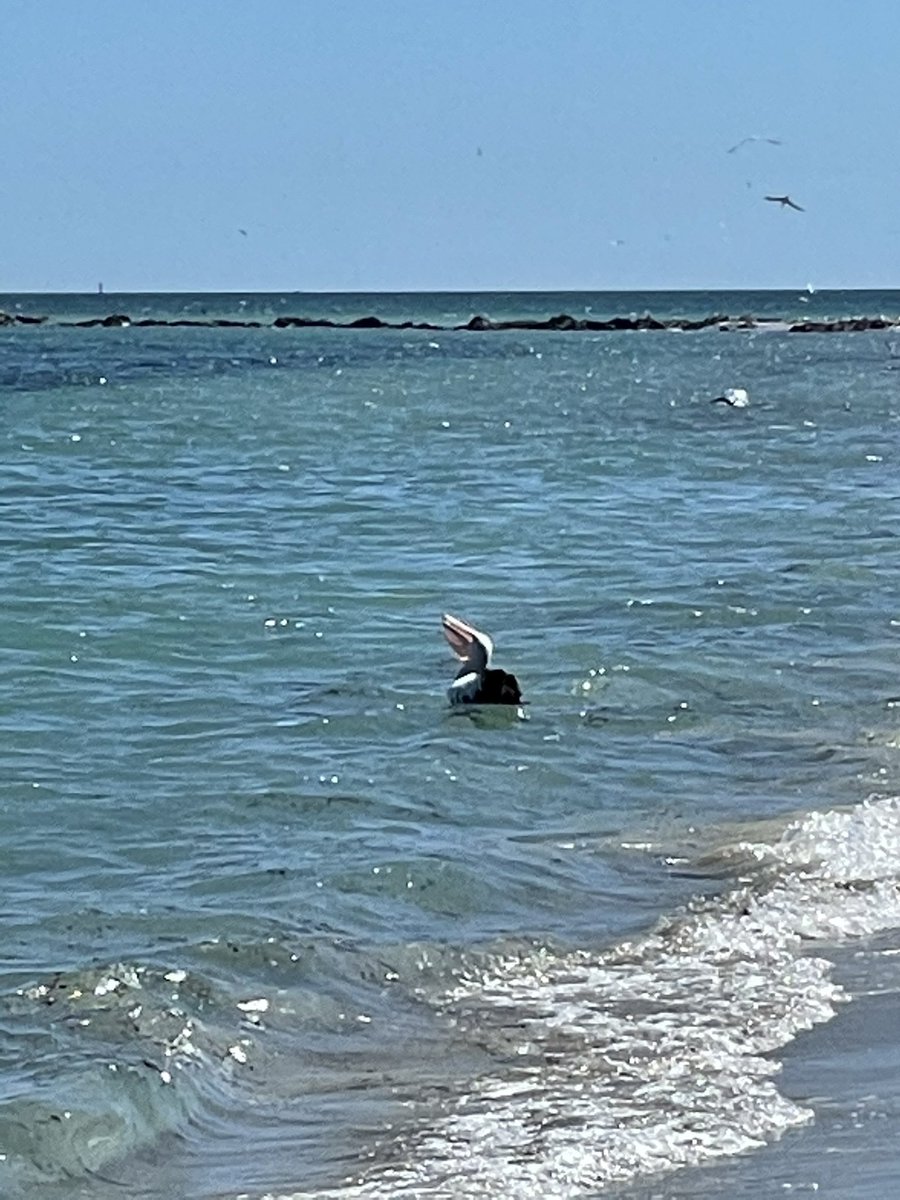 Gorgeous day 38 degrees,tried a bit of fishing caught seaweed and my own finger 😂 #winning at least someone had a good feed #fishing #sundayfunday