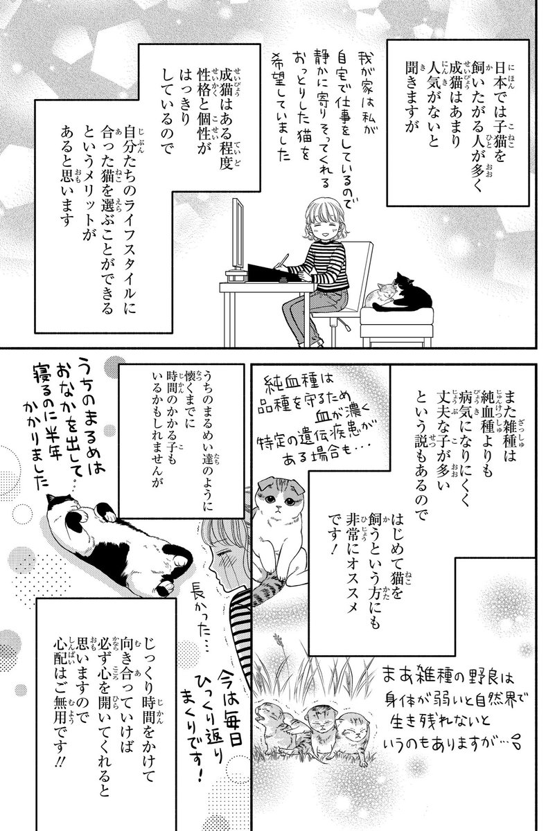 一目ぼれした保護猫を我が家に迎える話(3/4) 