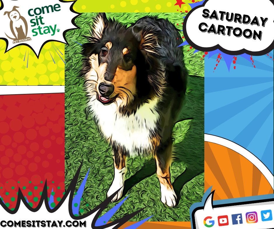 #saturdaycartoon #cartoonsaturday #pethotel