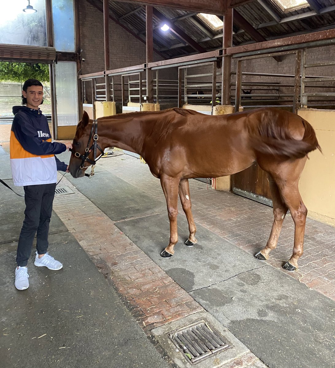 Trent Needham tweet media