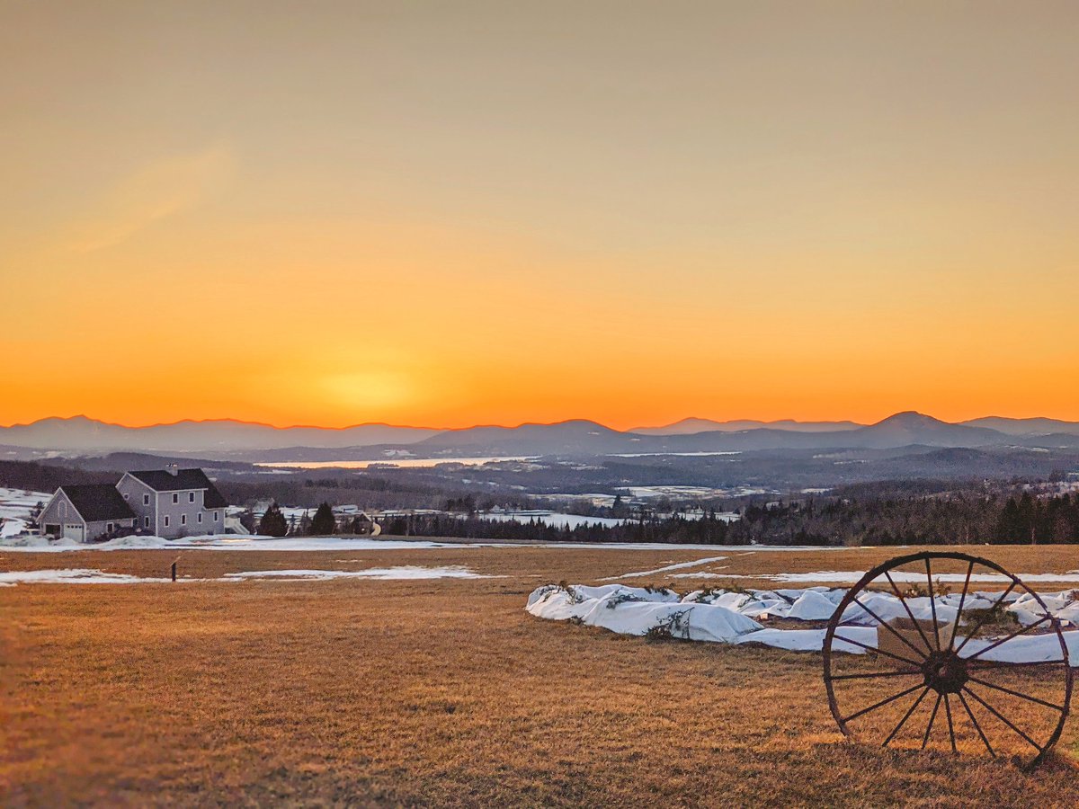 Radhakrishna Dasari tweet media