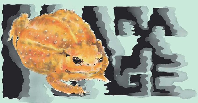 ミヤコヒキガエルのtwitterイラスト検索結果 ミヤコヒキガエルのtwitterイラスト検索結果