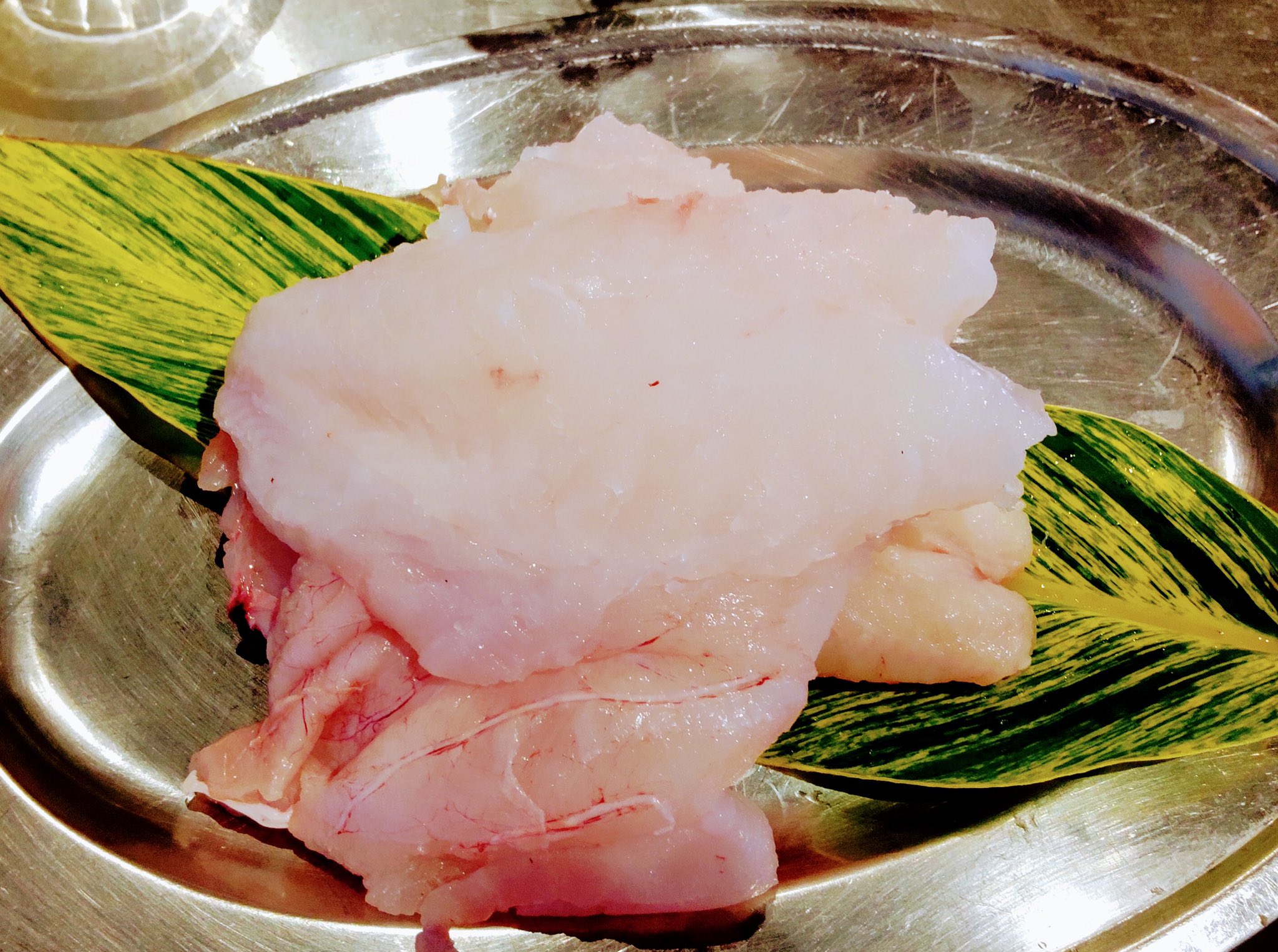 与論島 鉄板焼marara マララ 希少なオニダルマオコゼ入荷しました 水分が多い魚種なので２日脱水して 美味しい状態です オニダルマオコゼ 与論島 ヨロン島 鉄板焼屋だけどお刺身も自慢です 実は肉より魚が好き T Co Avwooiufqm Twitter