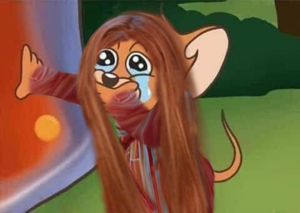 Swift Olsen tweet media