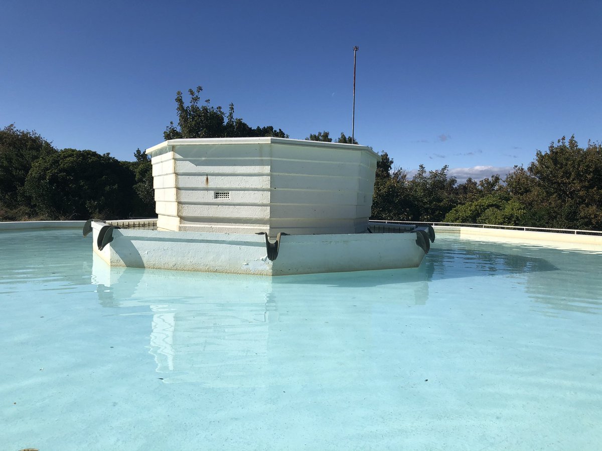 michelappleton's tweet photo. In Kelburn, it’s tropical. #fourfeet https://t.co/GjSlsB7inQ