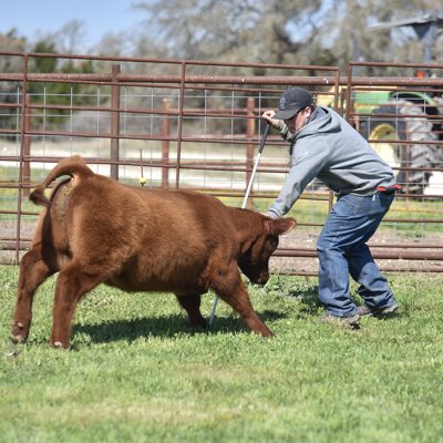 ColtonBarton4's tweet photo. #NewProfilePic https://t.co/E4HQdZ8kzD