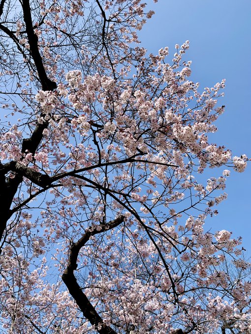 「春休み」のTwitter画像/イラスト(新着))