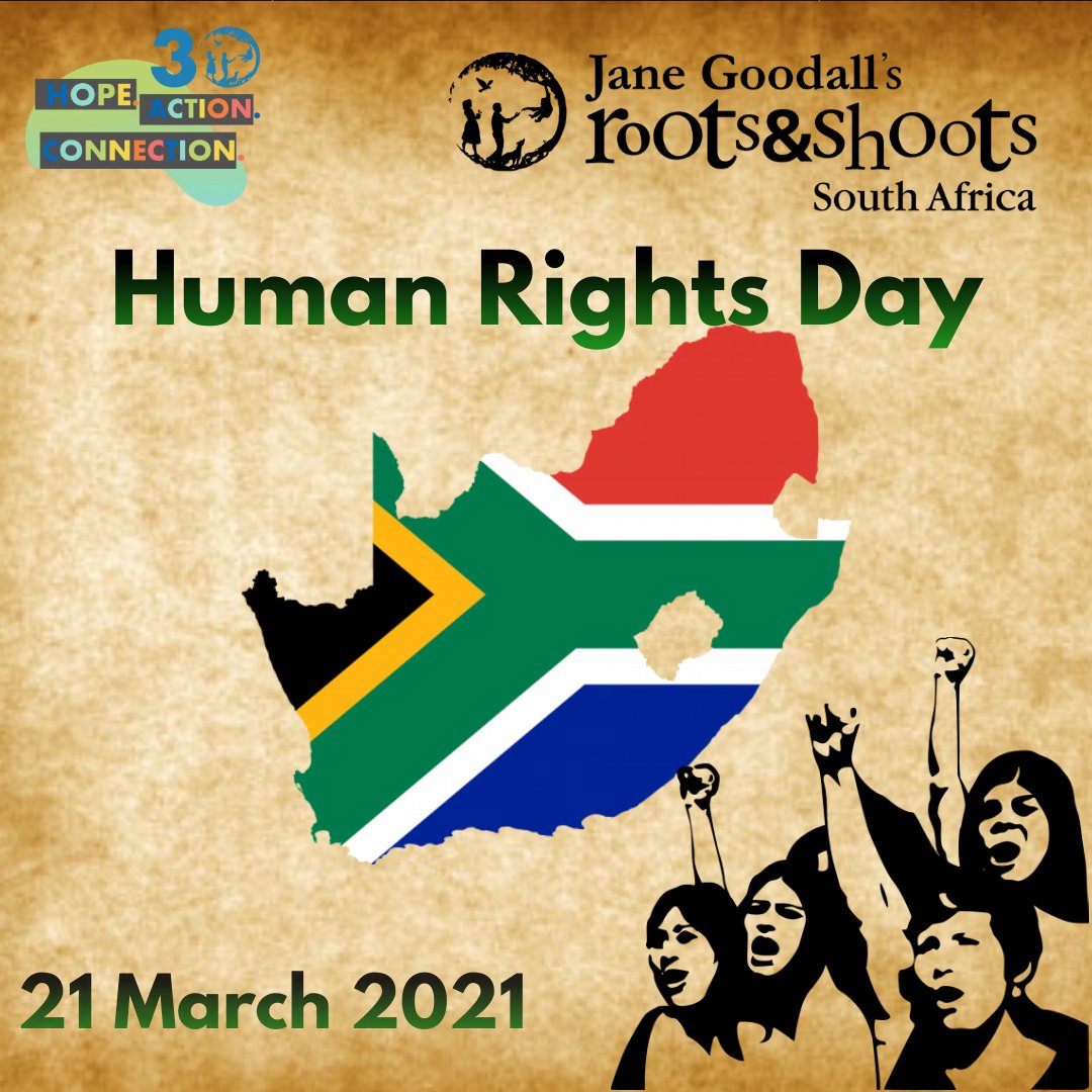 Roots Shoots South Africa Human Rights Day In South Africa Is Historically Linked With 21 March 1960 And The Events Of Sharpeville Police Fired On A Peaceful Crowd Protest 69 People