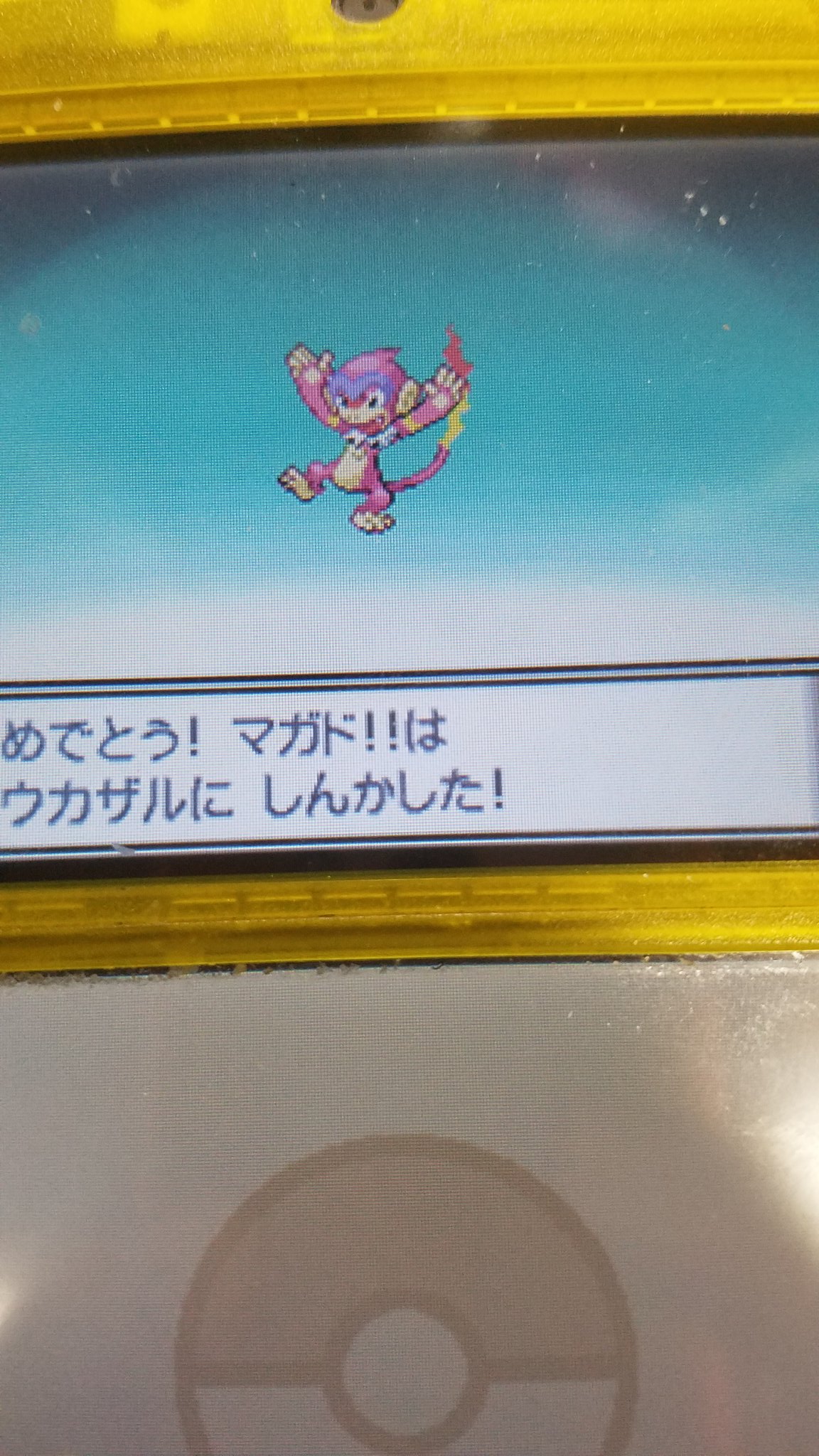 きこう元勇者 平日は挨拶無しで行きます ポケモンプラチナ 色違いヒコザル モウカザルに 進化 カッコイイ T Co Avcyzomafm Twitter