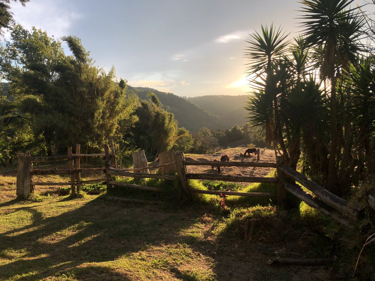 lpcsmd's tweet photo. Tiempo en familia! Guate impresionante! #nature #mykids #horseriding #impressiveviews #nofilters #uniqueguatemala https://t.co/VP98MEOEv7