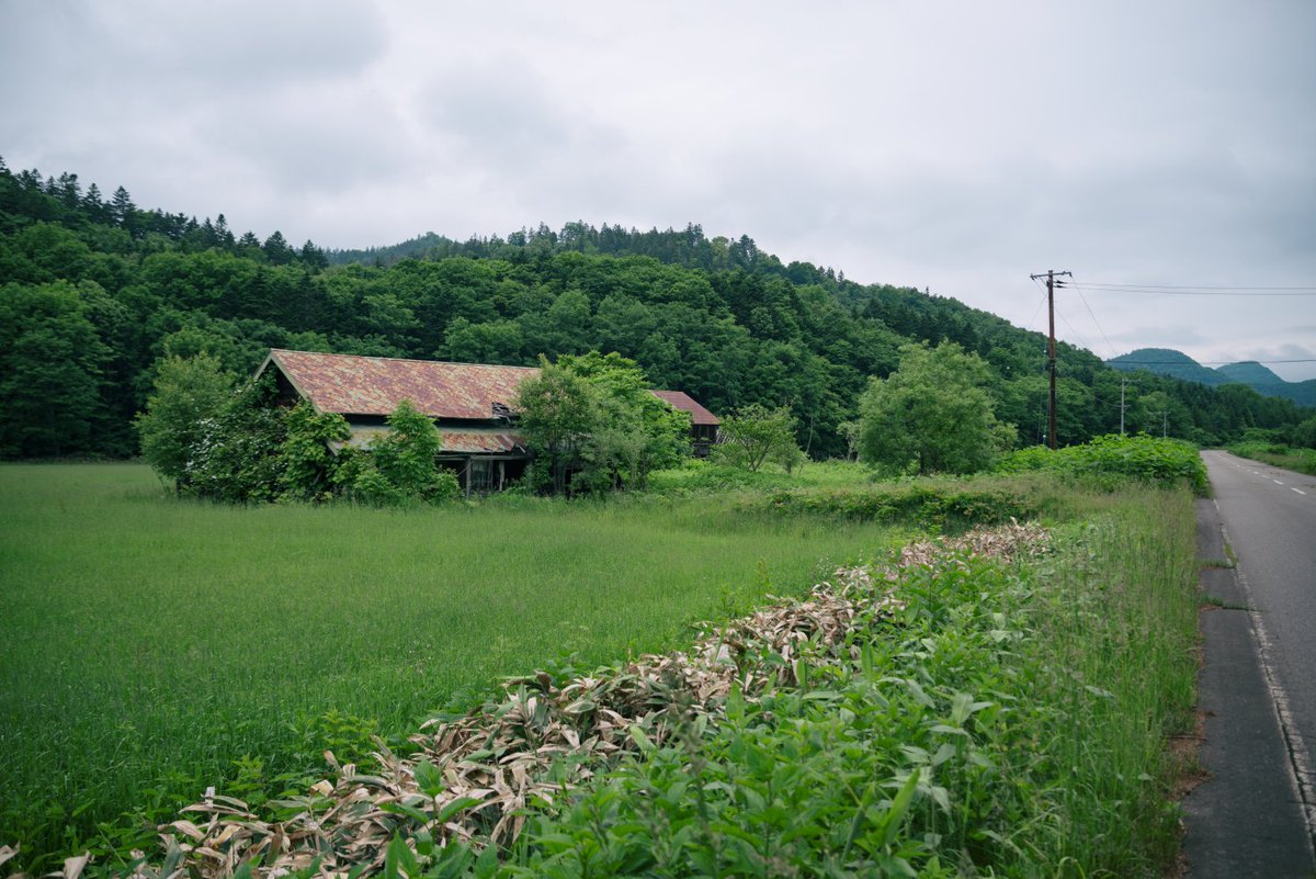 北海道の廃村にルピナスは咲き続ける Togetter