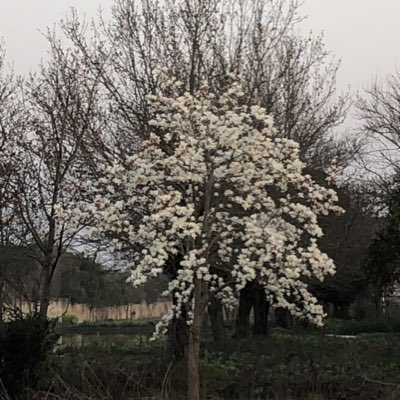 chris_qtx's tweet photo. #NewProfilePic https://t.co/anjWYEfmsK