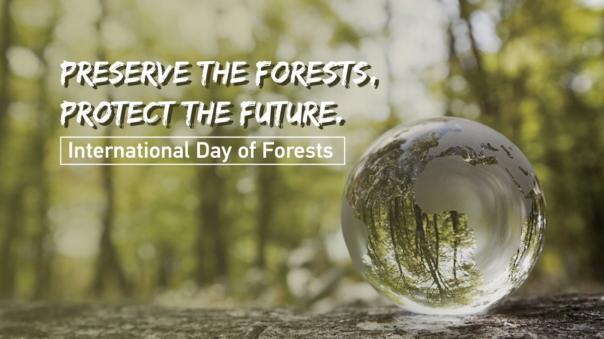 PillaLikitha's tweet photo. Forests are the  good source of air  (oxygen) and main reason that there is balance in our eco-system. let us protect them to save our planet. #happyinternationaldayofforests #preserveforestsaveourfuture #forestarerealtreasuretous https://t.co/94GlsiyPsY
