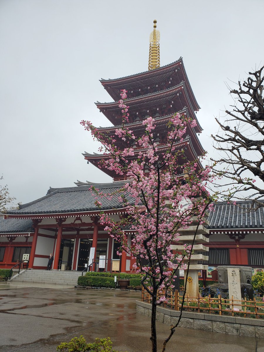 Gaogao ໒ 浅草浅草寺五重塔 Gaogao ໒ 浅草浅草寺五重塔