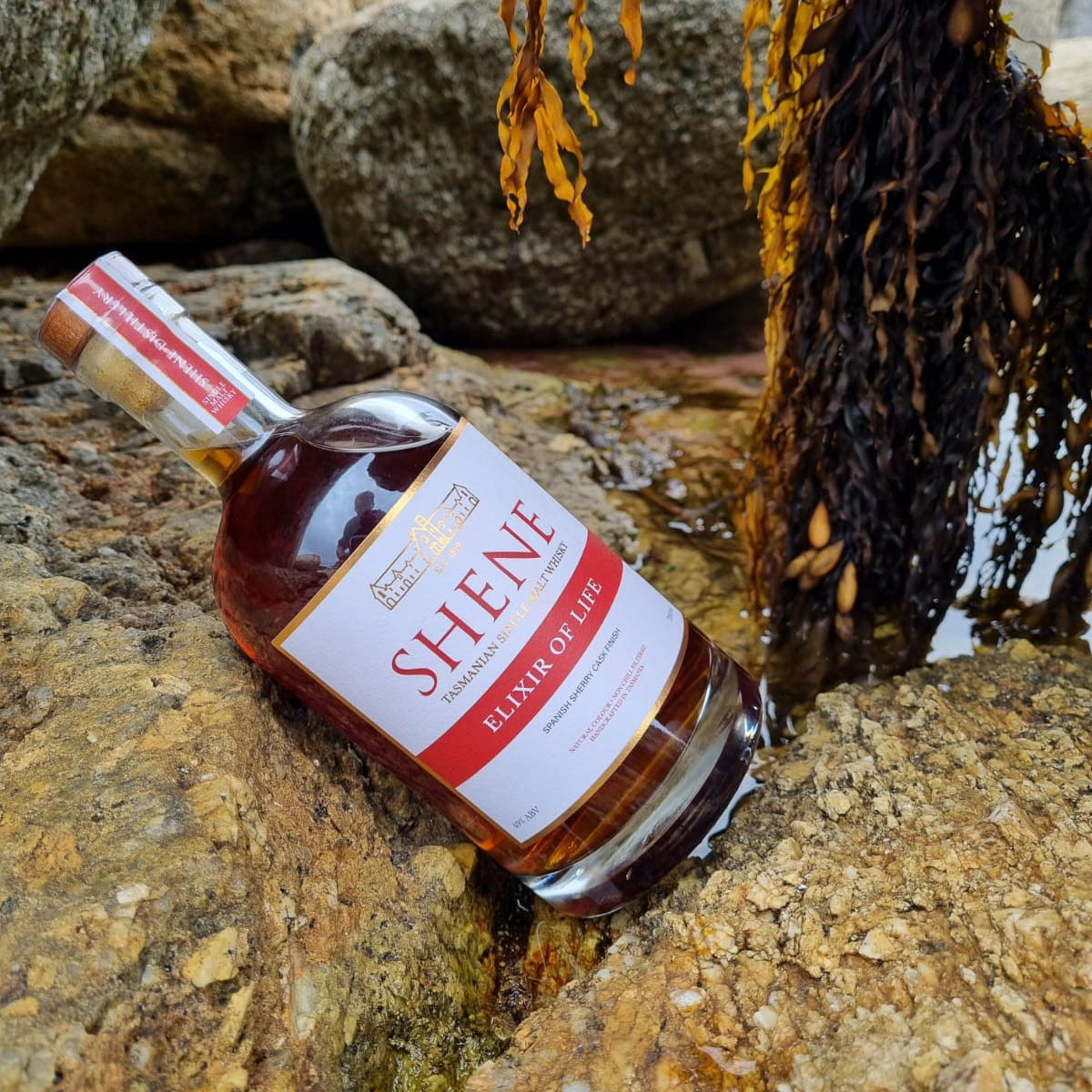 Our new Elixir of Life release is a bold and daring whisky, delivering notes of dark velvety chocolate, Christmas pudding, toffee, fruits and nuts. 
 
Follow the link to purchase your Elixir of Life: shene.com.au/Shene-Elixir-o…

 #Whisky 📸 by the_bartender_stew
