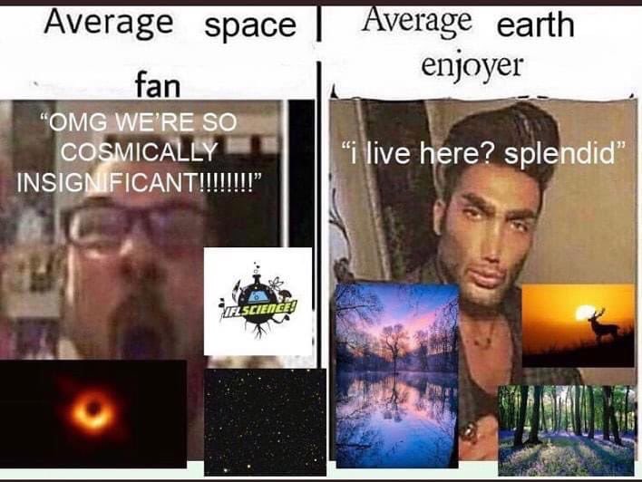 reactions on Twitter: average space fan omg we're so cosmically  insignificant vs average earth enjoyer I live here splendid  https://t.co/fsgAO16qc4 / Twitter