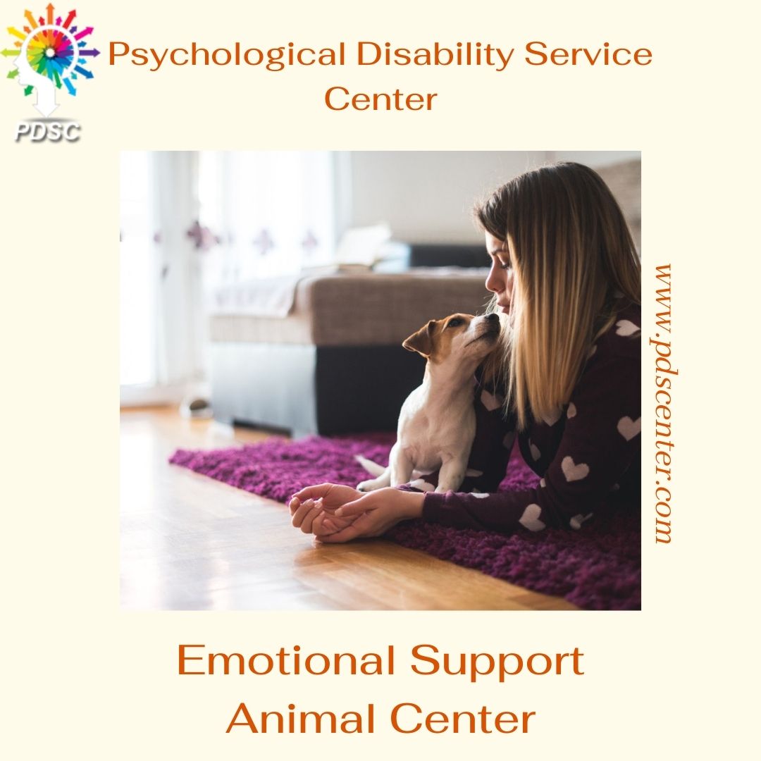 ESAcenter's tweet photo. Getting an emotional support animal for anxiety requires a certified recommendation from an experienced therapist. You can contact PDSC
for registering an emotional support animal.
Visit https://t.co/tywtwUrJpE
.
.
.
#ESALetter
#ESALetterOnline
#ESALetterCenter
#ServiceDogLetter https://t.co/QtehKAna1Y