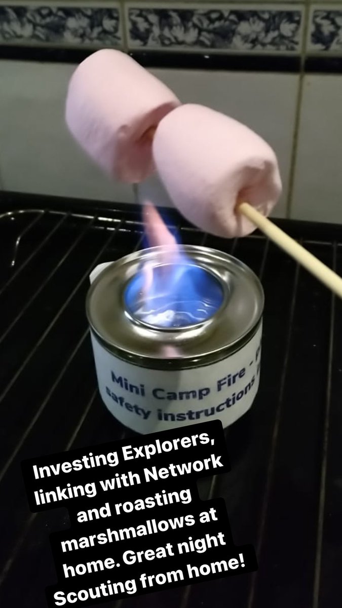 BandDExplorers's tweet image. Investing Explorers, linking with Network and roasting marshmallows at home. Great night Scouting from home! #Scouts #Explorers #ScoutingAtHome #MiniCampFire