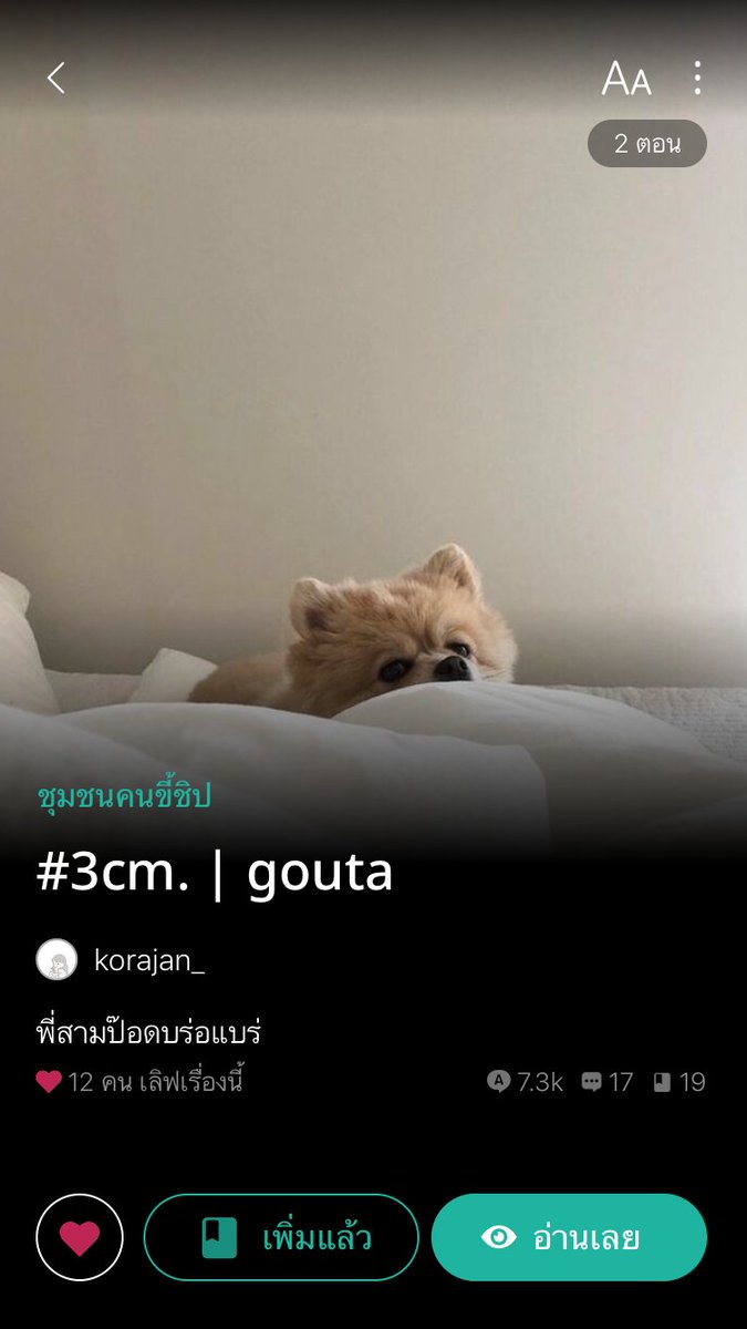 korajan tweet media