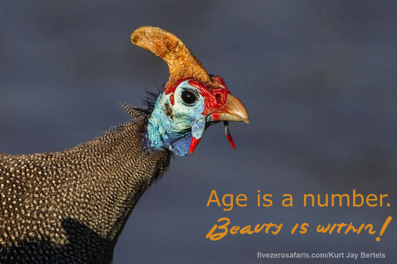 adult_design's tweet photo. Volunteering knows no age limit! #AIDproject #AdultInclusiveDesign https://t.co/Pz6AmO6G3b
