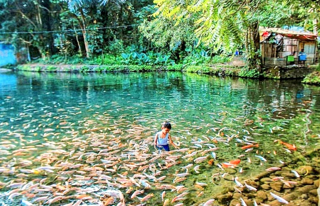 Top81319822's tweet photo. Weekend besok free... Dolan kuy...
Ke umbul senjoyo Salatiga NO MODUS
#needpartnerdolan #gaysemarang #gayindo #gaytraveling #gaytravel #gayvisit #gay #bisex #manlyformanly #nosissy #nochubb #noribet #dolansantuy #gaydolan #outdoor https://t.co/1VRuwxAZHu