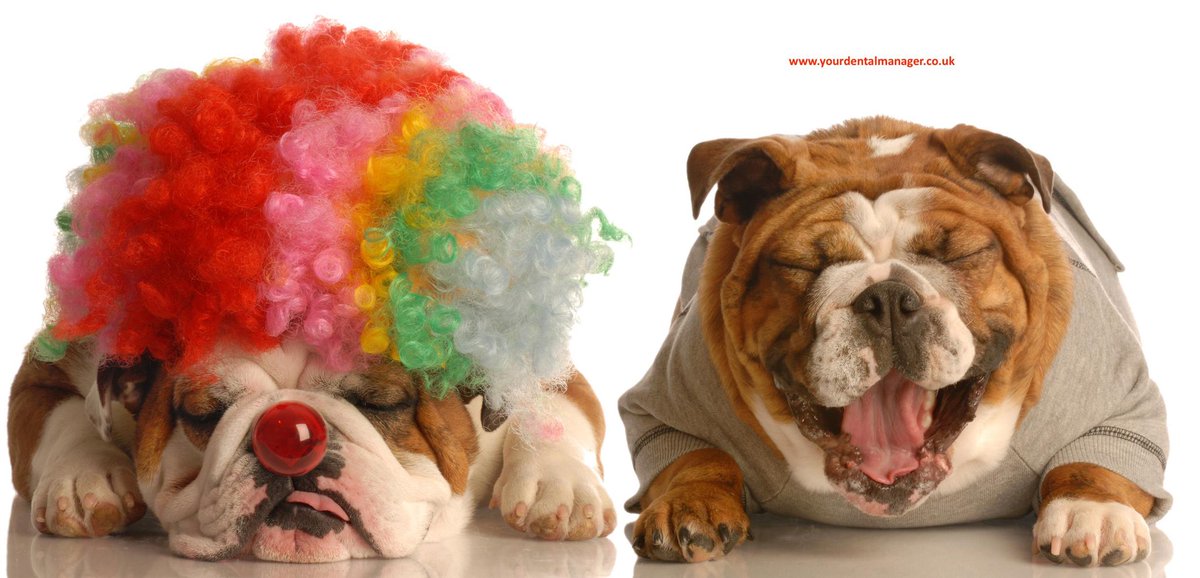 Have a great #rednoseday #comicrelief weekend.
Always good to enjoy some typically British entertainment whilst raising all-important charity funds and recognising those most in need #rednoseday2021 #smallbusiness #smallbusinessowner