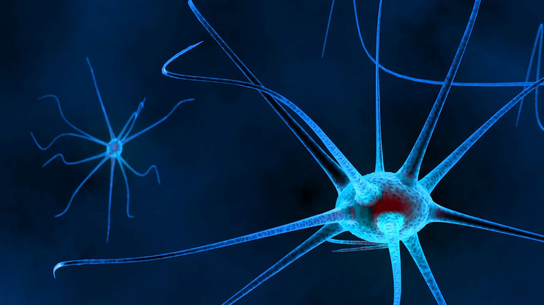 The RCN (@thercn) on Twitter photo Have you seen our newly-launched resource for nursing staff caring for people with Motor Neurone Disease (MND)? We've developed it alongside the National Hospital for Neurology and Neurosurgery and <a href="/mndassoc/">MND Association</a>. bit.ly/3qWm93u
<a href="/NeuroNurseForum/">RCN Neuroscience Forum</a> Have you seen our newly-launched resource for nursing staff caring for people with Motor Neurone Disease (MND)? We've developed it alongside the National Hospital for Neurology and Neurosurgery and <a href="/mndassoc/">MND Association</a>. bit.ly/3qWm93u
<a href="/NeuroNurseForum/">RCN Neuroscience Forum</a>