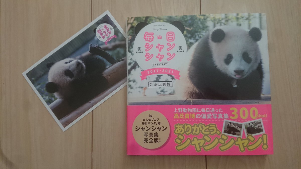 毎日シャンシャン 毎日シャンシャン