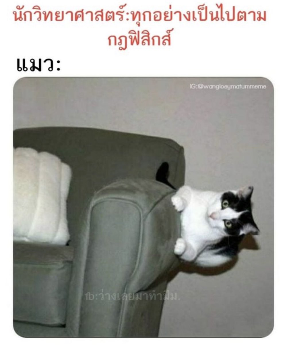 SABENZZ's tweet photo. 555555555555555555555 ขำ

#H6คืออะไร https://t.co/8WT1bZKdyX