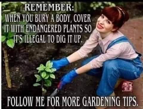 Chotu_too's tweet photo. My husband has #nobodynocrime tips for all of the @MurderSmall  folks out there. @Jimmypisfunny  @WhismanSucks https://t.co/4MbBEwzWKW