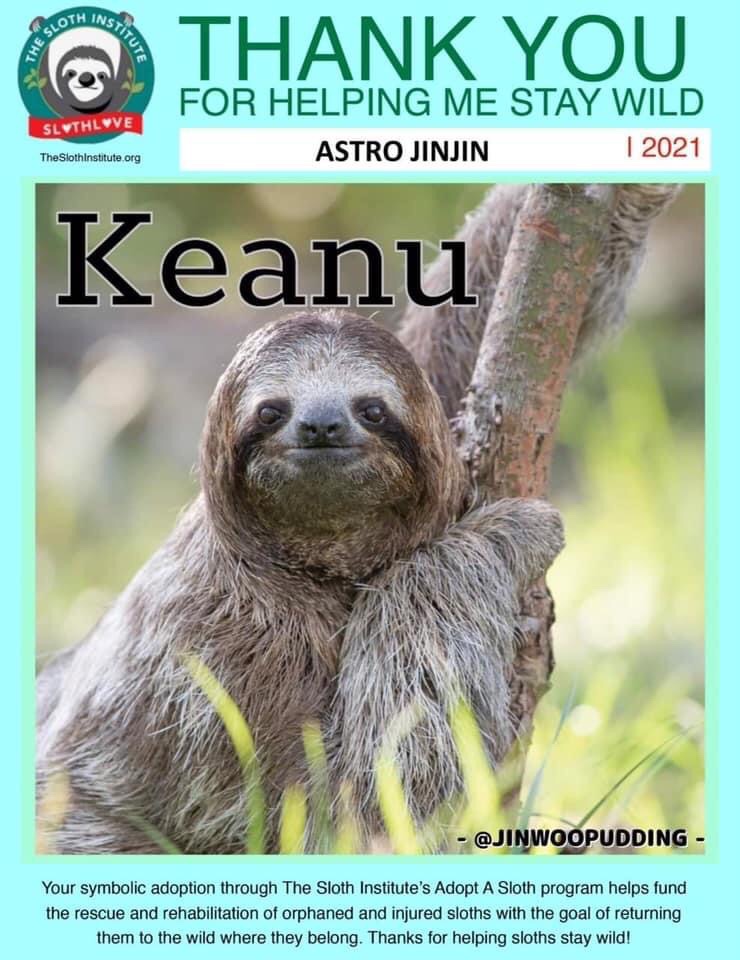 slothinstitute's tweet image. #ThankfulThursday The fans of #JinJin, a #K-POP star in the group #Astro, adopted Keanu in honor of him for his birthday!

Thank you all for your support!!! 🙂