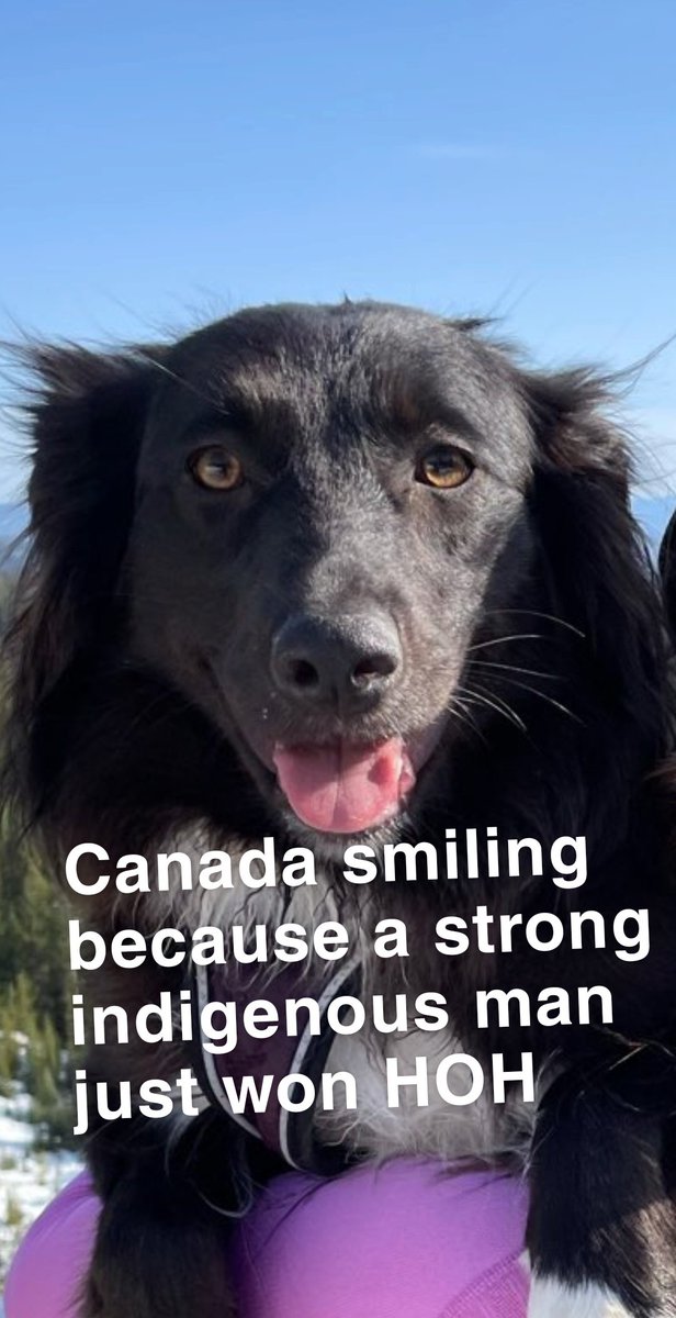NoraBellis's tweet photo. Koda's reaction to the new HOH 
🎉🎉🎉🎉🎉
@KieferBBCAN9 #BBCAN #bbcan9 https://t.co/yLeQOAGVrH