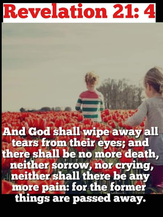 plex21's tweet image. 