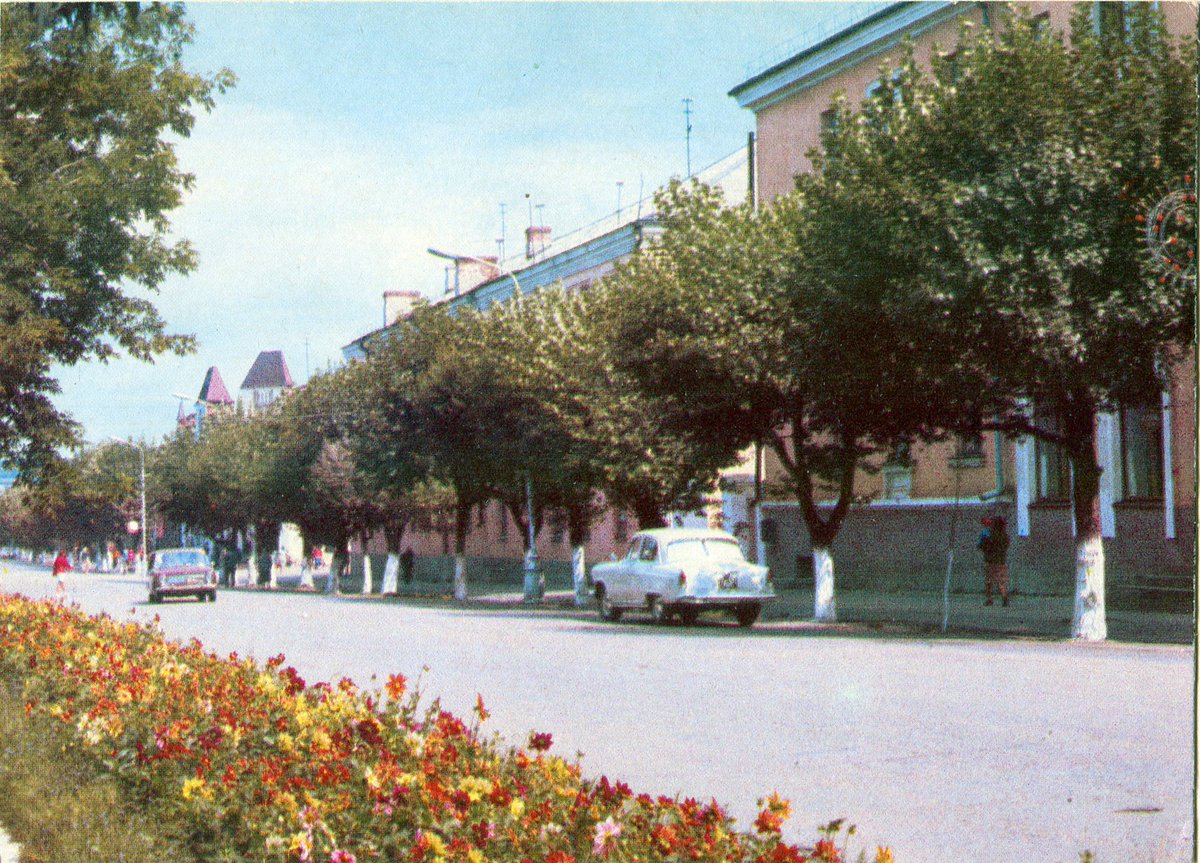 В потоке времени tweet media