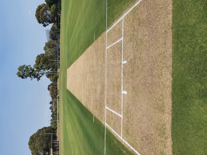 NorthDandyCC's tweet photo. Lois Twohig looking a treat for the @ddcacricket Turf 3 Grand Final between Springvale Cricket Club &amp; Keysborough Cricket Club.

As always, kudos to our curator Luke Watson for preparing a belter!

Bar &amp; Canteen will be open from 11am for those who are attending.

#NoFilter https://t.co/Rw7KI6RI41