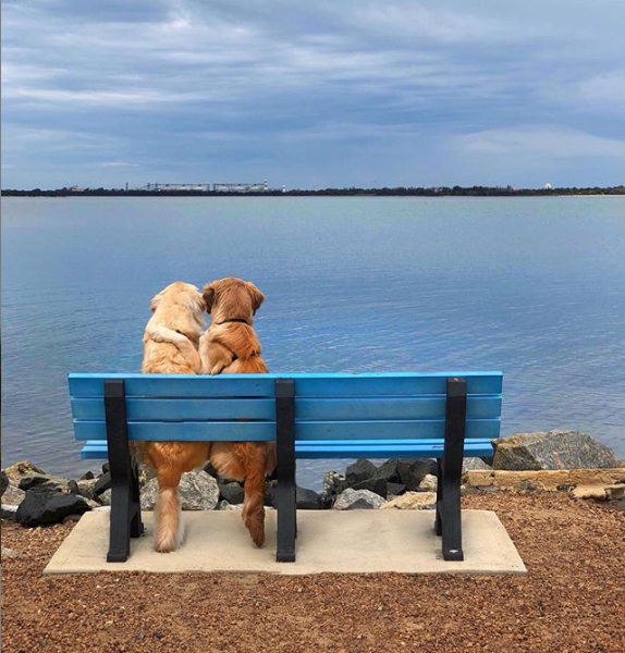 ReplasProducts's tweet photo. Grab your bestie and enjoy the weekend ♻️ https://t.co/3XBQDNhJr5