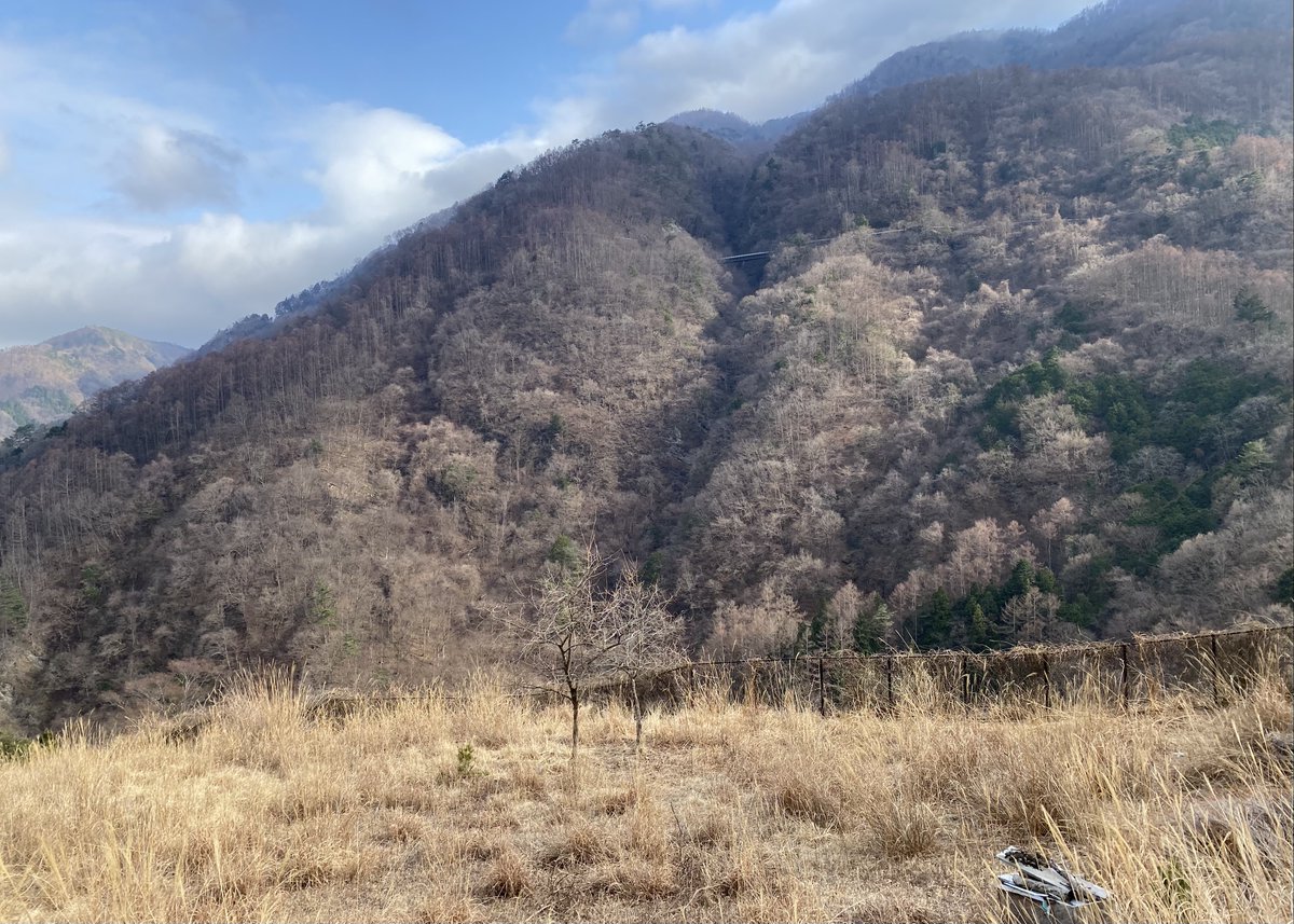 WalkYorimichi's tweet photo. 3/21（日）に予定していました次回のヨリミチは、雨天予報のため3/30（火）に変更いたします。
集合場所、時間は同様になります。ご都合が���います方はあらためましてこちらからエントリーをお願いいたします！
https://t.co/dHZbtQNQIq
#ヨリミチ
#ウォーキング
#南アルプス市
#芦安
#里の風景 https://t.co/3XdNqjzX9L