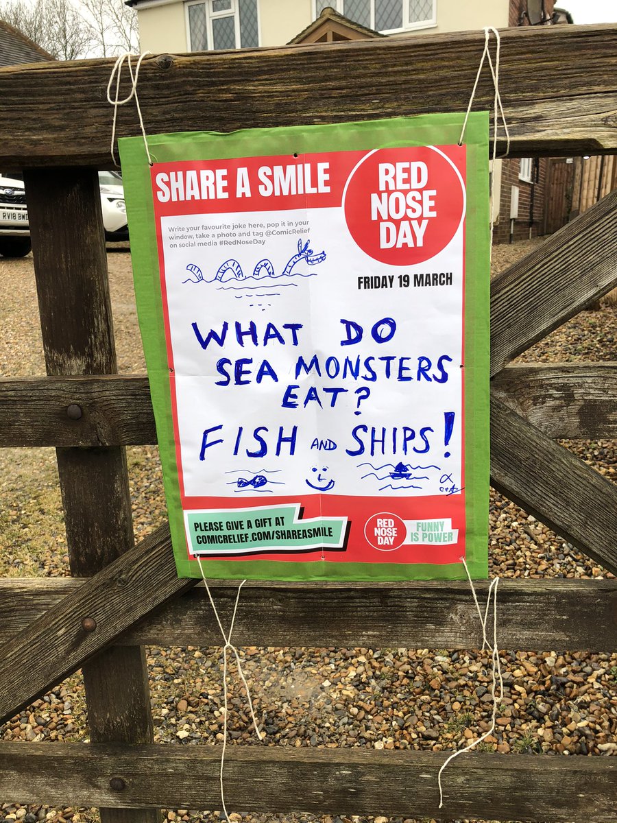 firebirdthecat's tweet photo. @comicrelief #RedNoseDay https://t.co/Rkq9KugnyO