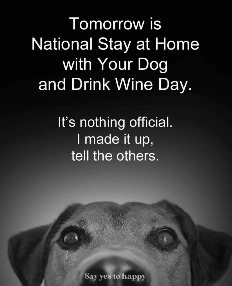 JusticeforRegg1's tweet photo. It is now official #wine #winetime #wineoclock #Cheers #friday #amnimalparty #animalsarefamily #animalsArePeopleToo #BeKind #dogs #dogsales #puppyfarm https://t.co/8s23SQutBq
