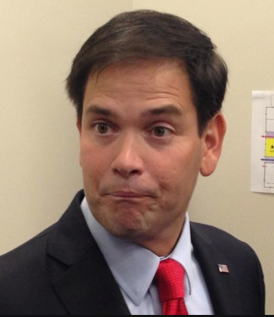 donwinslow's tweet image. What F idiot.

Florida...what the hell?