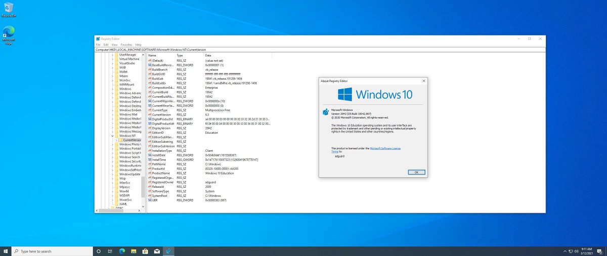 Wzor On Twitter Download Windows 10 Version 20h2 Consumer Business Updatedmarch2021 From Msdn Via Torrent Os Build 19042 867 Vb Release Svc Prod1 210226 1354 With Kb5000802 4 English Https T Co 1ea9y41hfo 4