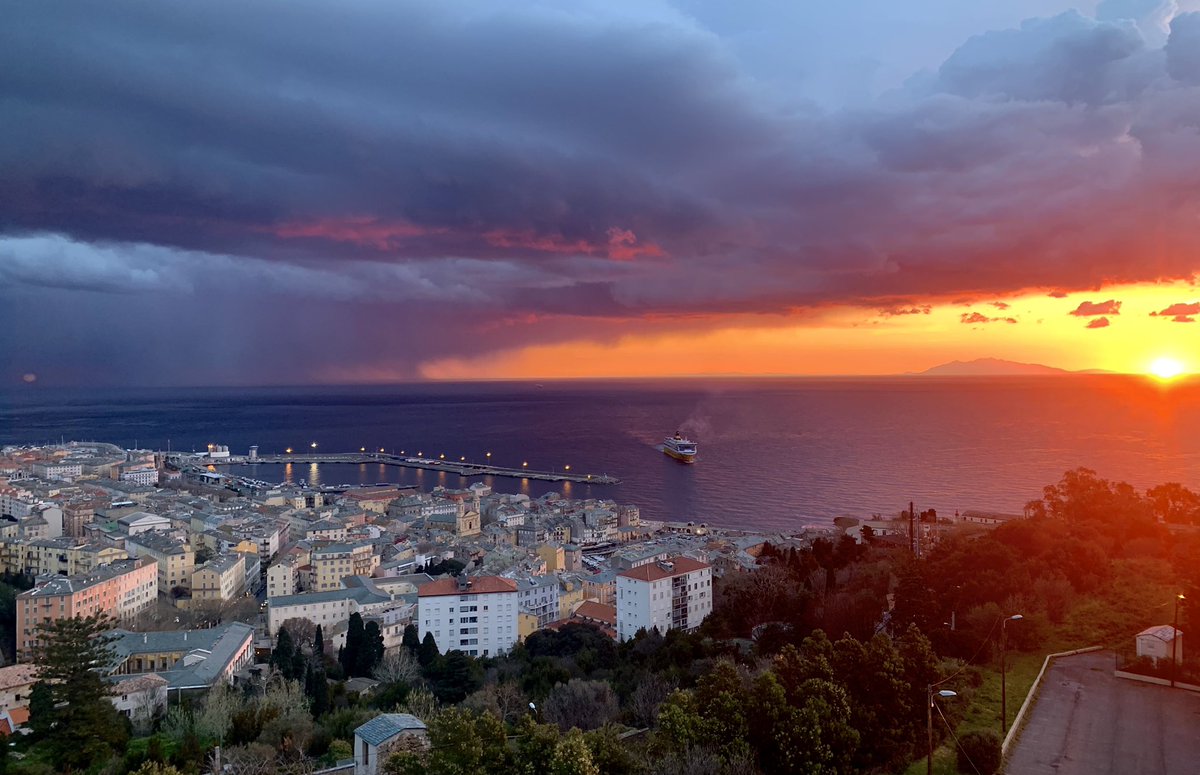 𝙇𝙪𝙙𝙤 𝙈𝙖𝙩𝙩𝙚𝙤𝙡𝙞 tweet media