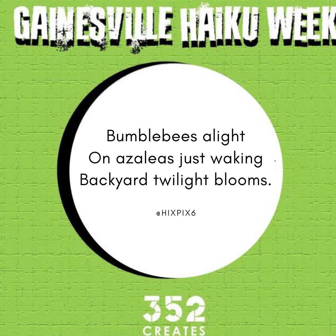 Thank you to hixpix6 for the Instagram haiku submission! 🐝🌟 #352creates #gainesville