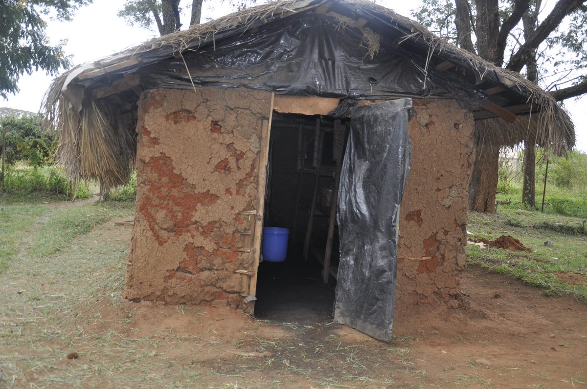 DiscoverJKUAT's tweet photo. JKUATs' Mushroom Growing Resource Centre, has introduced a new type of mushroom, known as Turkey Tail. It has medicinal value and could play a significant role in managing the impact of lifestyle diseases, and also reduce the cost burden on patients.
https://t.co/bWCCMoNjLF ^DP https://t.co/mz68w7b3Lo