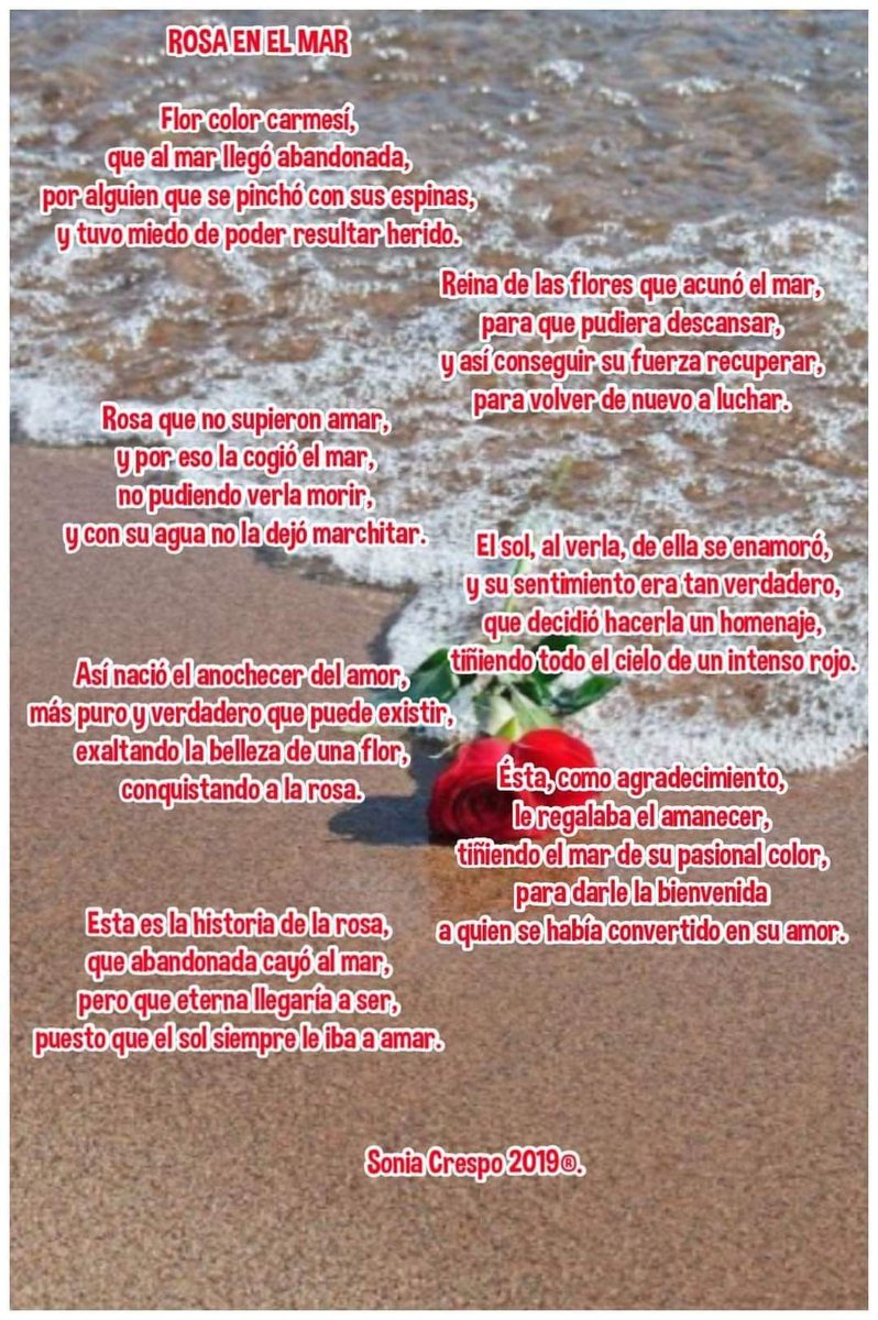 sonia_crespo (@soniacr03556235) on Twitter photo 