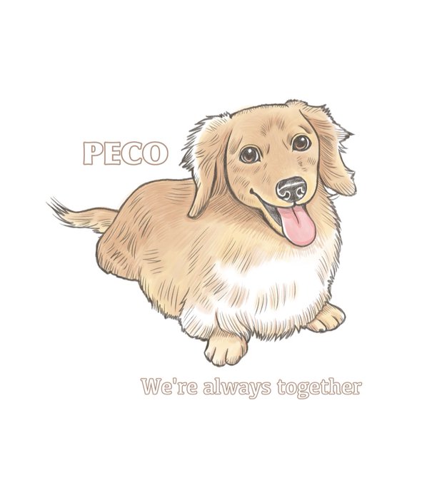 ダックスのtwitterイラスト検索結果 ダックスのtwitterイラスト検索結果