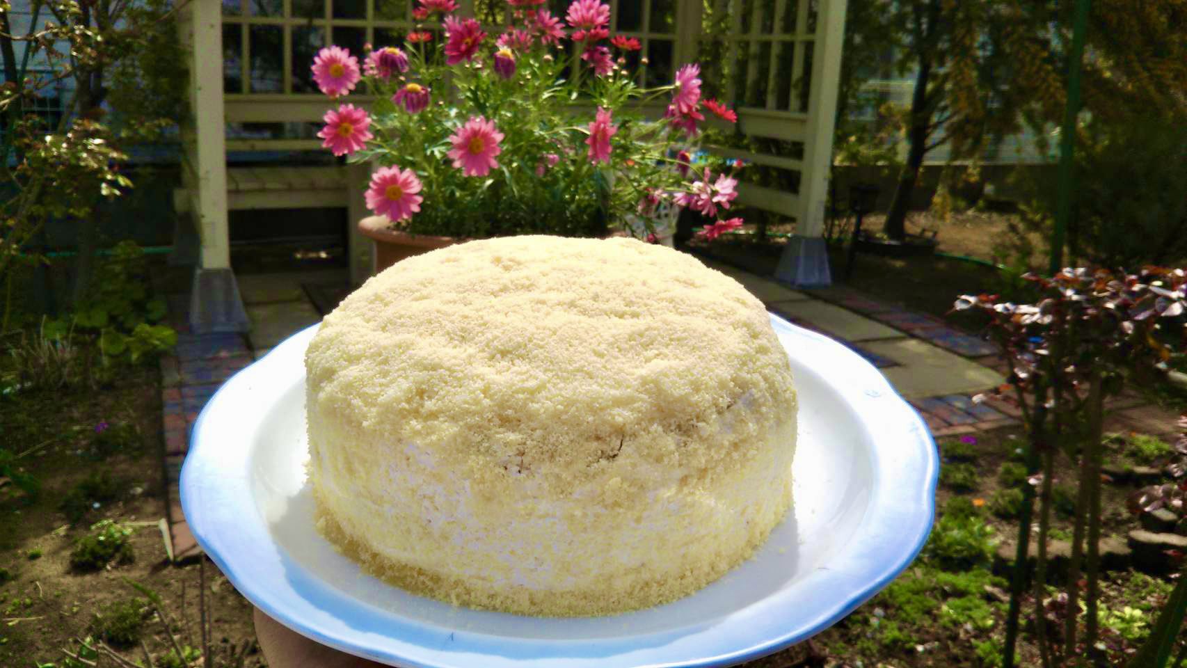 アトリエ カフェ赤毛のアン ご好評につきミモザケーキ再販 ミモザが咲く季節限定 ミモザケーキ ミモザを イメージしたケーキです 数量限定 単品７００円 外税 ドリンク込み1 000円 外税 赤毛のアン 赤毛のアンカフェ Cafe テラス テラス席