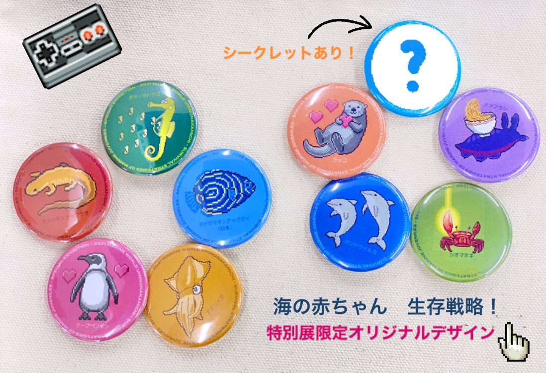 激レア　karory先生缶バッジ　海 激レアkarory先生缶バッジ海