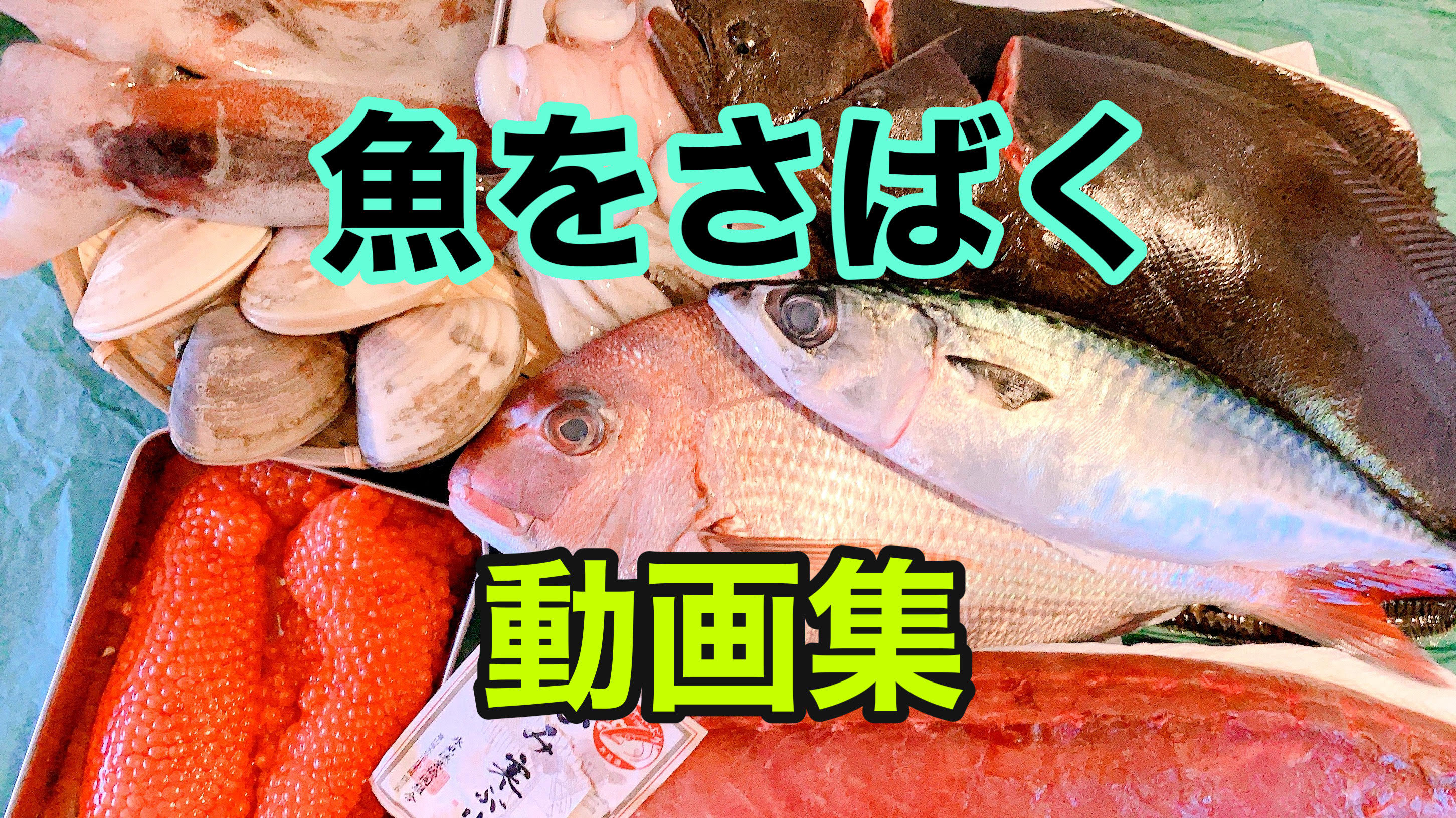 魚をさばいた記録集 Twitter